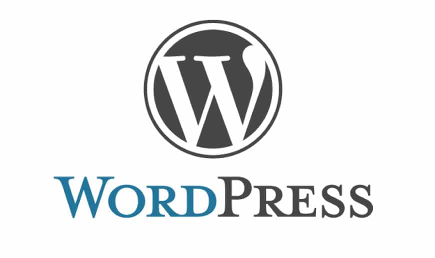 เว็บไซร์ ระบบ WordPress